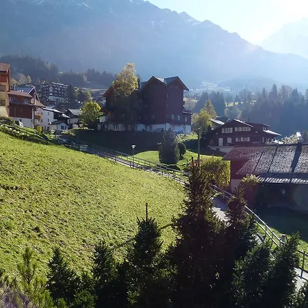 Bergkristall Wengen