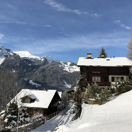 Bergkristall Wengen