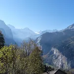 Bergkristall * Wengen