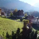 Bergkristall Wengen